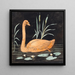 Ein Schwan vor schwarzem Hintergrund, dekorative Skizze - P C Skovgaard — gerahmtes Bild an der Wand