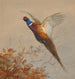 Ein Fasan Hahn im Flug - Archibald Thorburn — Ansicht des Kunstwerks