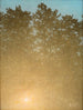 Sonnenuntergang in Fontainebleau - Valdemar Schønheyder Møller — Ansicht des Kunstwerks