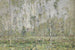 Landschaft mit Bäumen um 1910 - Vasili Ivanovich Denisov — Ansicht des Kunstwerks