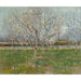 Reproduktion des Gemäldes Obstgarten in Blüte (Pflaumenbäume) - Vincent van Gogh