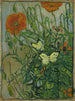 Schmetterlinge und Mohnblumen - Vincent van Gogh — Ansicht des Kunstwerks