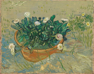 Marguerites à Arles - Vincent van Gogh — Ansicht des Kunstwerks
