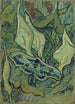 Schmetterling Kaiser - Vincent van Gogh — Ansicht des Kunstwerks