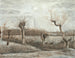 Têtards pollards - Vincent van Gogh — Ansicht des Kunstwerks