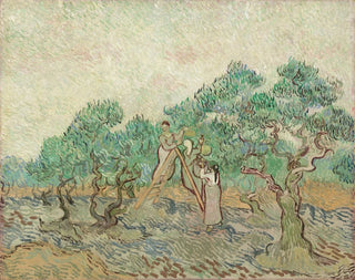 Der Olivenhain - Vincent van Gogh — Ansicht des Kunstwerks