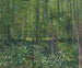 Bäume und Unterholz - Vincent van Gogh — Ansicht des Kunstwerks