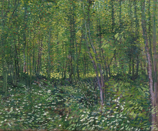Bäume und Unterholz - Vincent van Gogh — Ansicht des Kunstwerks