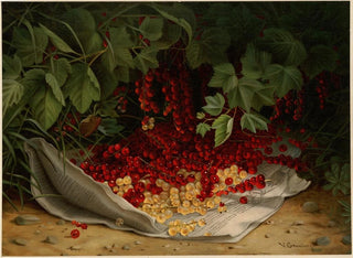 Virginia Granberry - Currants.webp