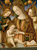 Madone und Kind mit zwei Engeln - Vittore Crivelli — gerahmtes Bild an der Wand
