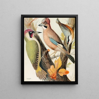 W A Blakston - Green Woodpecker Jay Nuthatch.webp