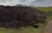 Landschaft - Władysław Ostrowski — Ansicht des Kunstwerks