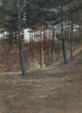 Ein Ecken des Hardelot-Walds - Walter Crane — Ansicht des Kunstwerks