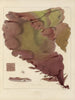 Botanischer Cryptogamen-Kunstdruck der Reise in die Antarktis der Schiffe HM Discovery Erebus und Terror in den Jahren 1839 Pl17 - Walter Hood Fitch — Ansicht des Kunstwerks
