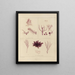 Botanischer Cryptogamen-Kunstdruck der Reise in die Antarktis der Schiffe HM Discovery Erebus und Terror in den Jahren 1839 Pl59 - Walter Hood Fitch — gerahmtes Bild an der Wand