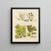 Botanischer Kryptogamen-Kunstdruck des Reiseberichts in die Antarktis der Schiffe HM Discovery Erebus und Terror in den Jahren 1839 Pl65 - Walter Hood Fitch — gerahmtes Bild an der Wand