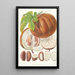 Hodgsonia Heteroclita H f und T Fruit - Walter Hood Fitch — gerahmtes Bild an der Wand