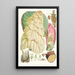 Rheum Nobile Hfand T - Walter Hood Fitch — gerahmtes Bild an der Wand