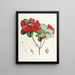 Die Rhododendren des Sikkim Himalaya Pl12 - Walter Hood Fitch — gerahmtes Bild an der Wand