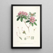 Les Rhododendrons de l'Himalaya de Sikkim Pl17 - Walter Hood Fitch — gerahmtes Bild an der Wand