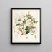 Les Rhododendrons du Sikkim-Himalaya Pl21 - Walter Hood Fitch — gerahmtes Bild an der Wand