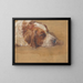 Studie eines Hundekopfes - Walther Gamerith — gerahmtes Bild an der Wand