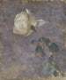 Rose - Walther Gamerith — Ansicht des Kunstwerks