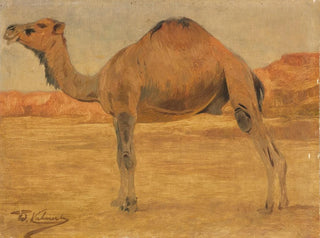 Wilhelm Kuhnert - Dromedar.webp