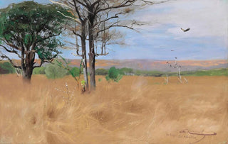 Wilhelm Kuhnert - Ost Africa.webp