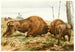Der europäische Bison - Wilhelm Kuhnert — Ansicht des Kunstwerks