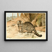 Wildkatze - Wilhelm Kuhnert — gerahmtes Bild an der Wand