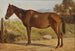 Rosinante, étude d'un vieux cheval debout - Wilhelm Marstrand — Ansicht des Kunstwerks