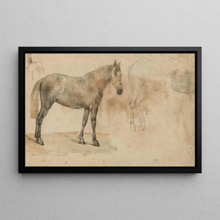 Willem Carel Nakken - Studies van een paard.webp