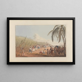 William A V Clark - Cutting the SugarCane.webp