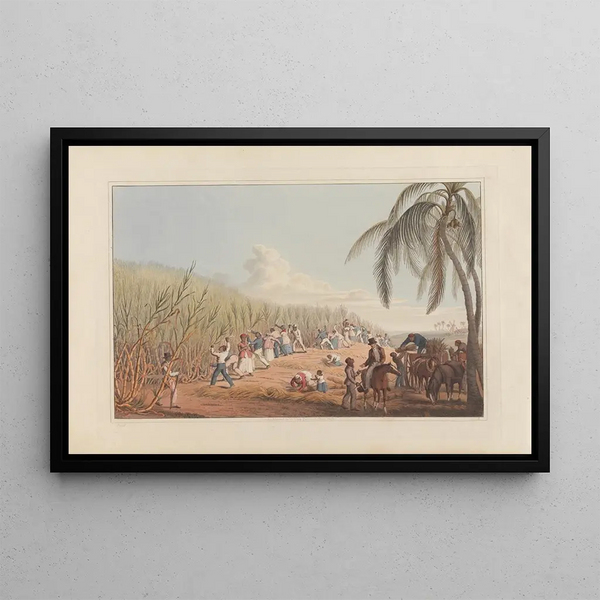 William A V Clark - Cutting the SugarCane.webp