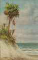 Meereslandschaft in Florida mit Sanddüne und Palme - William Aiken Walker — Ansicht des Kunstwerks
