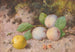Pflaumen und Apfel - William Cruickshank — Ansicht des Kunstwerks