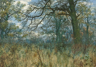 William Fraser Garden - Trees and Undergrowth.webp