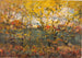 Königlicher Eichenbaum - William Henry Holmes — Ansicht des Kunstwerks