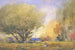 Sommerszene - William Henry Holmes — Ansicht des Kunstwerks