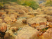 Der friedliche Potomac - William Henry Holmes — Ansicht des Kunstwerks