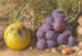 Apfel, Trauben und Haselnuss - William Henry Hunt — Ansicht des Kunstwerks