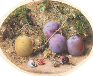 Pflaumen und Brombeeren - William Henry Hunt — Ansicht des Kunstwerks