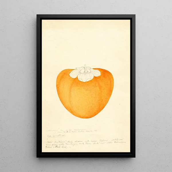 William Henry Prestele - Diospyros Among.webp