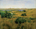 Sommer in Shinnecock Hills - William Merritt Chase — Ansicht des Kunstwerks