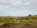 Ohne Titel, Shinnecock Hills, Long Island - William Merritt Chase — Ansicht des Kunstwerks