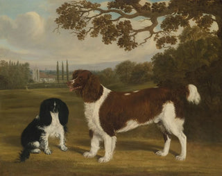 William Nedham - A Toy Spaniel and a Springer Spaniel in a Landscape a Church in the Distance.webp