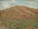 Le Cerro San Antón - William Nicholson — Ansicht des Kunstwerks