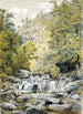 Catskill Clove - William Rickarby Miller — Ansicht des Kunstwerks