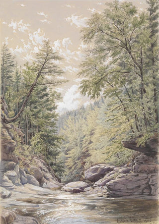 William Rickarby Miller - Catskill Clove in Palingsville.webp